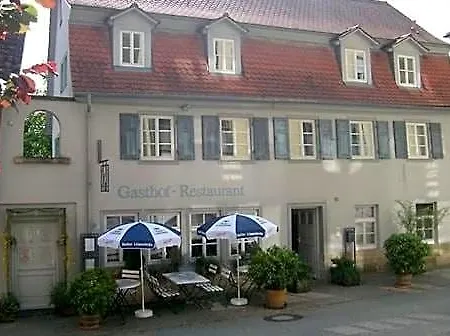 Gasthof Blauer Bock-2
